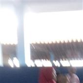 Cá
