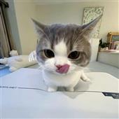 Tr
