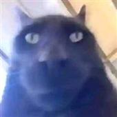 Đư