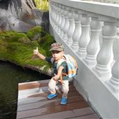 B