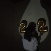 Vu
