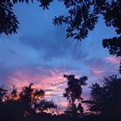 สั
