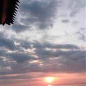 Hầ