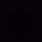 Bi
