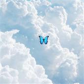 We