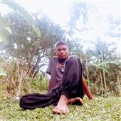 Dự
