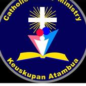 Cu