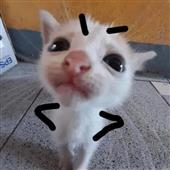 Gi