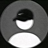 Cá