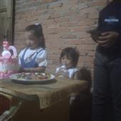 Ố