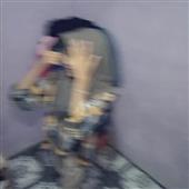 Li
