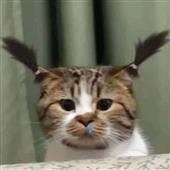 Si