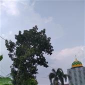 Kh