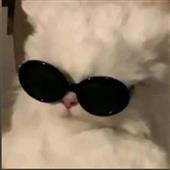 Tô