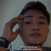 Vu