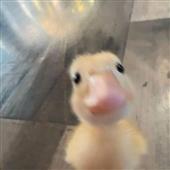 St