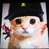 F
