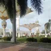 Củ