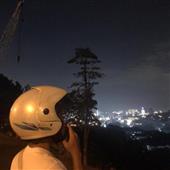 Dự