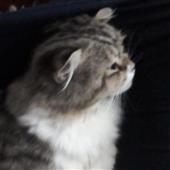Đá