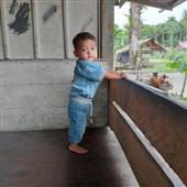Cự