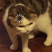 Đ