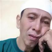 Cỏ