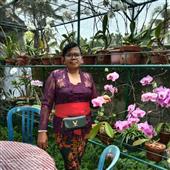 Cổ