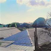 Bó