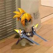 C