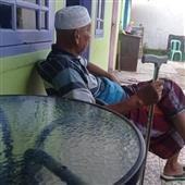 Dự