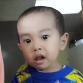ố