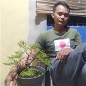 Tỷ