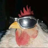 Lị