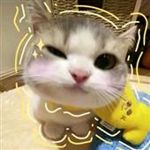 Vò
