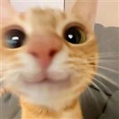 Sò