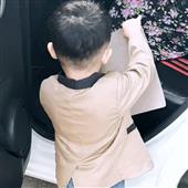 Sl