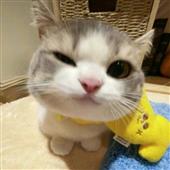 TH