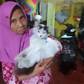 หม
