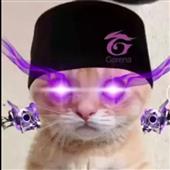 Ô