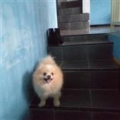 Đấ