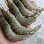 Kế