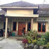 Dự