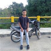 Gi