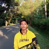 N