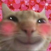 Xe