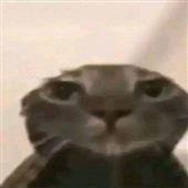 Kê