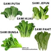 Đ