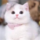 Ro