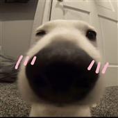 th